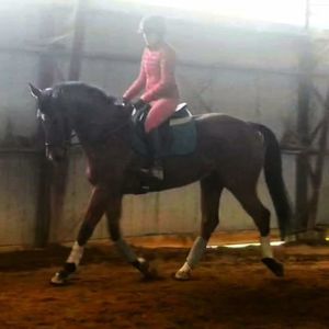 Meet your Posher, Sandra